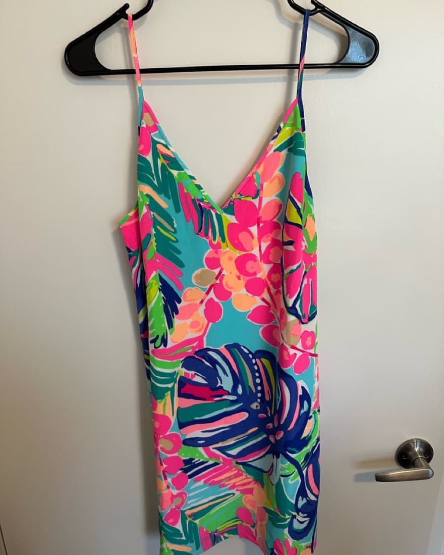 Lily Pulitzer Sun Dress - Image 1