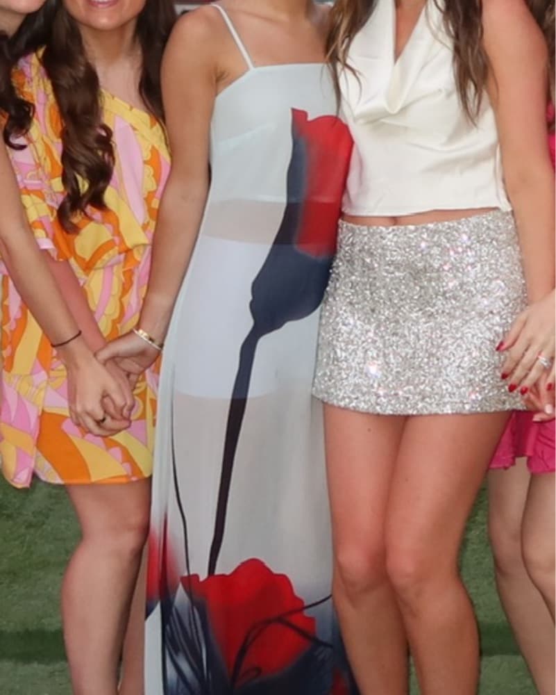 Rose Sheer Dress - Image 1