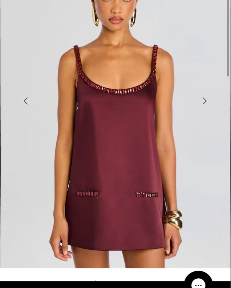 Retrofete Reilly Embellished Dress Red  - Image 4