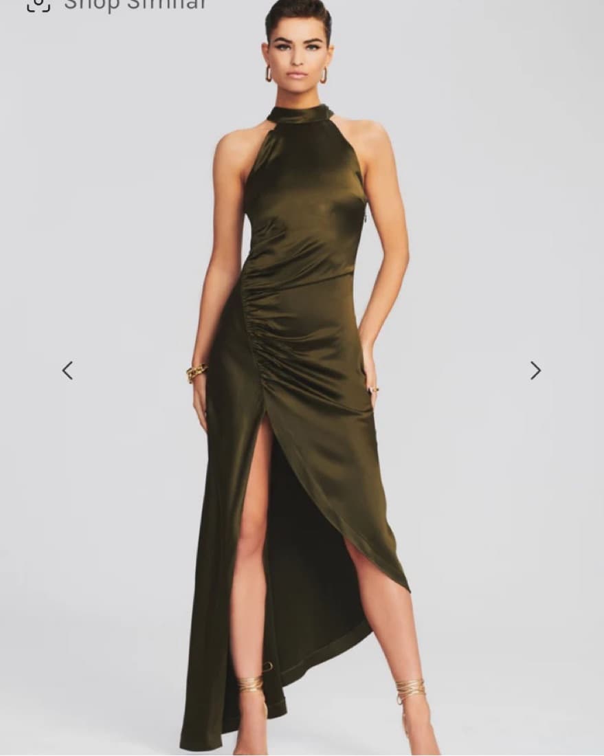 NWOT Retrofete Dress - Image 1