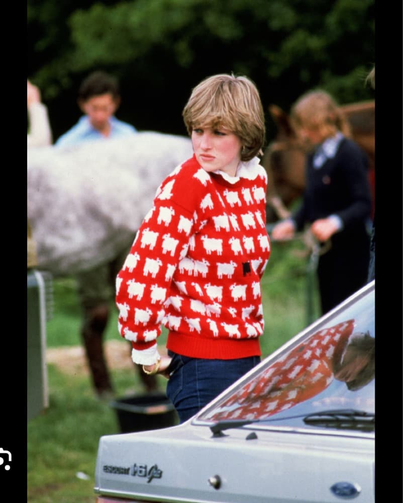 Rowing Blazers Black Sheep Sweater - Image 1