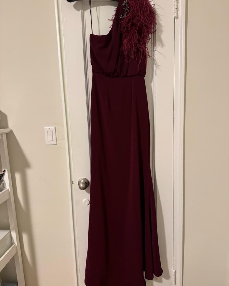Badgley Mischka Burgundy Feathered Gown - Image 4