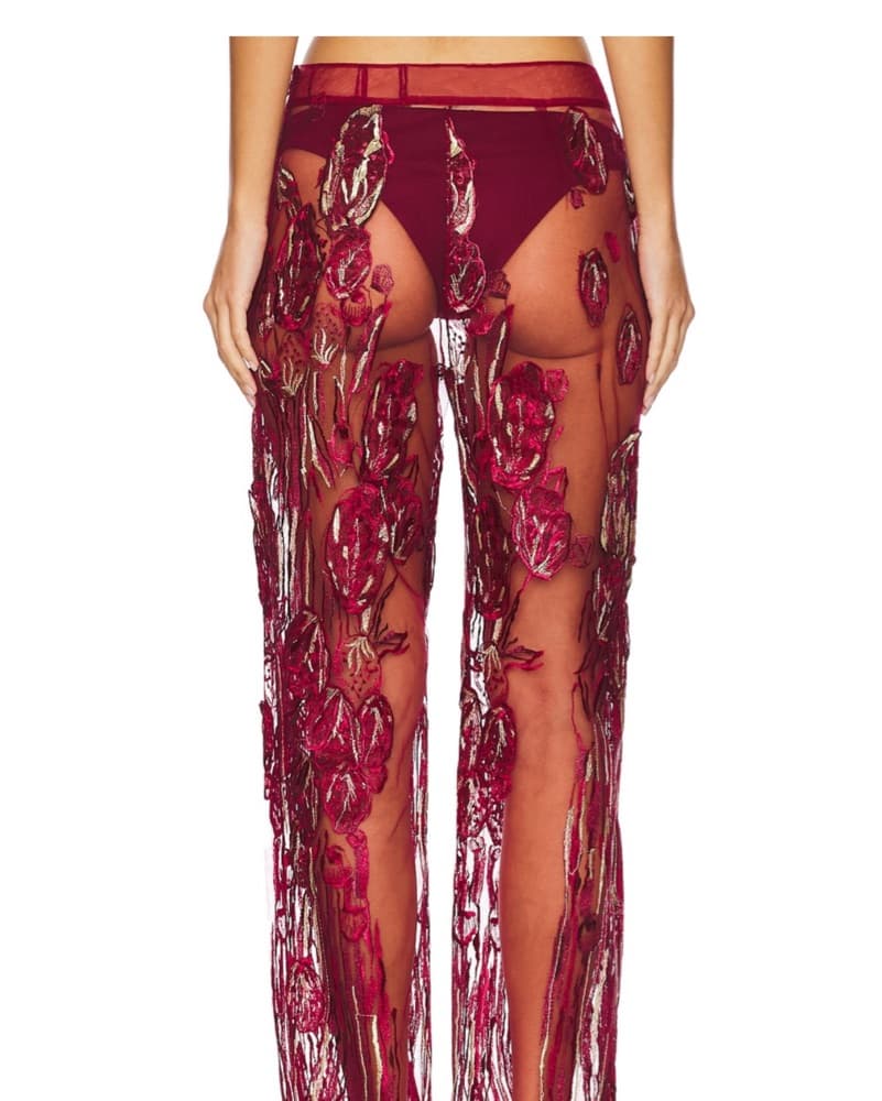 Red Sheer Pants - Image 4