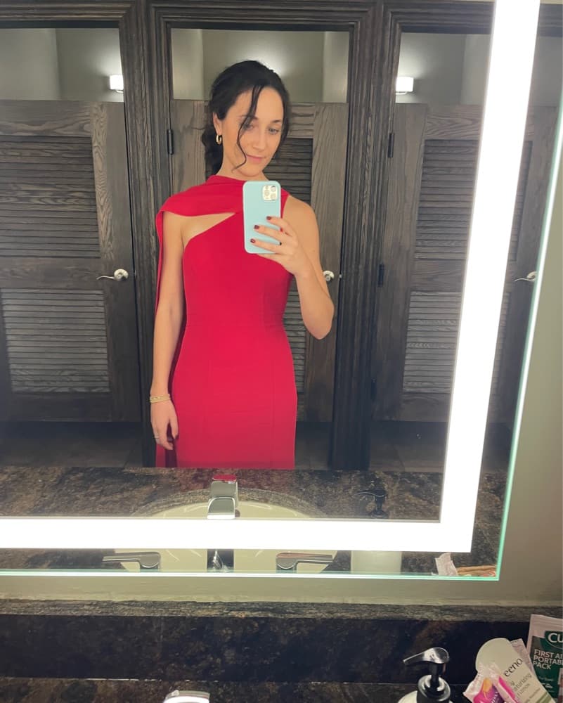Reformation Rosalyn Dress Red  - Image 2