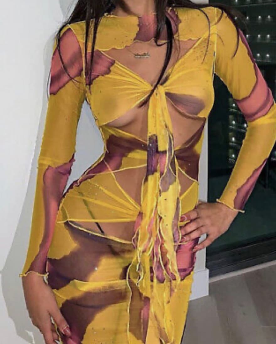 Kim Shui Sheer Dress (KNOCK OFF) - Image 2