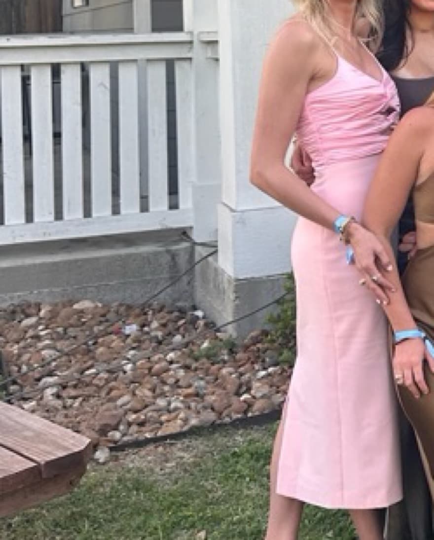 Likely Steph Dress In Rose Shadow - Image 1
