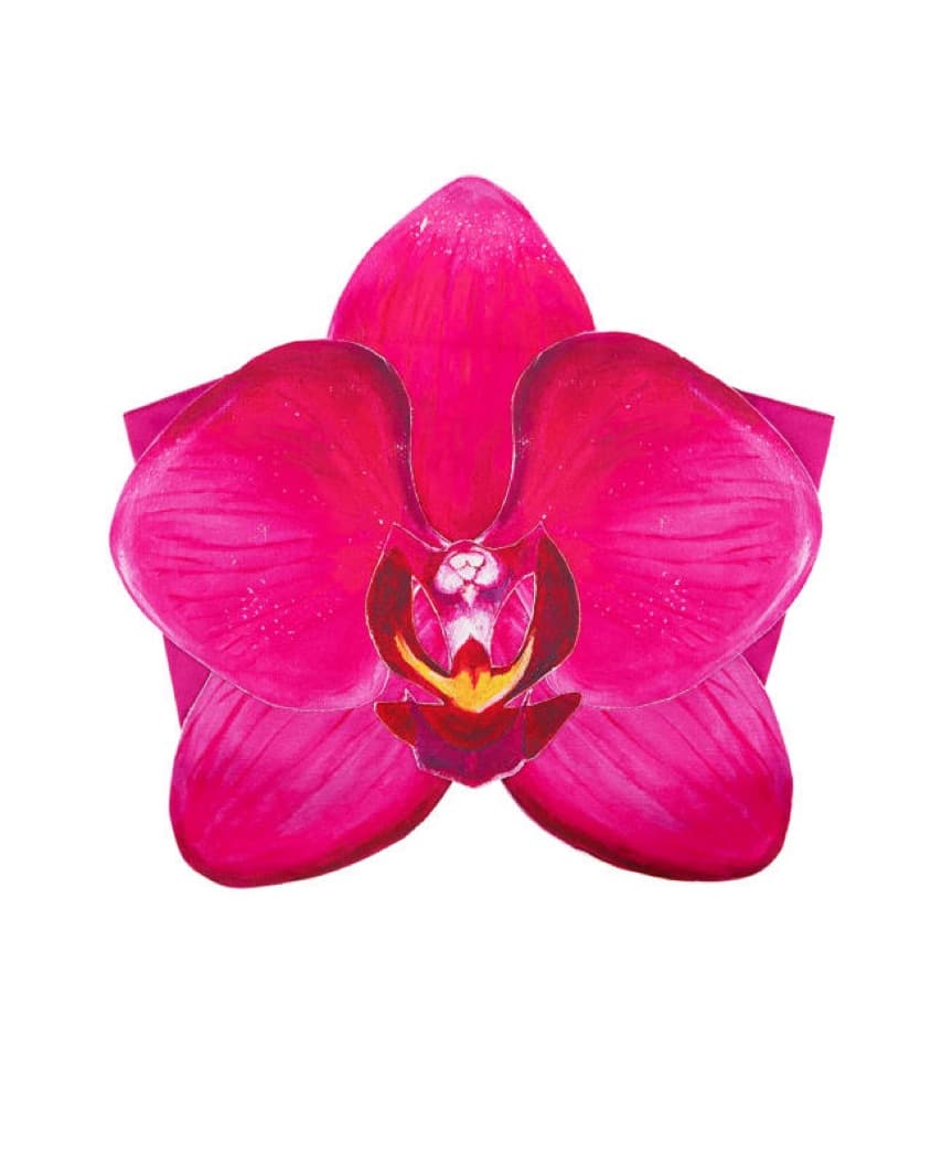 Tyler McGillivary Orchid Top - Image 3