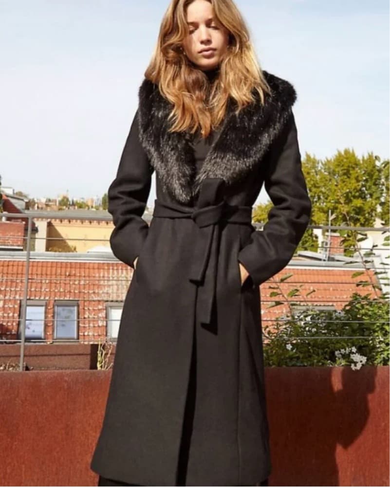 Aritzia Wilfred Waldorf Coat - Image 1