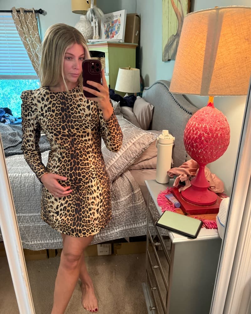 Tuckernuck Domino Leopard Dress  - Image 6