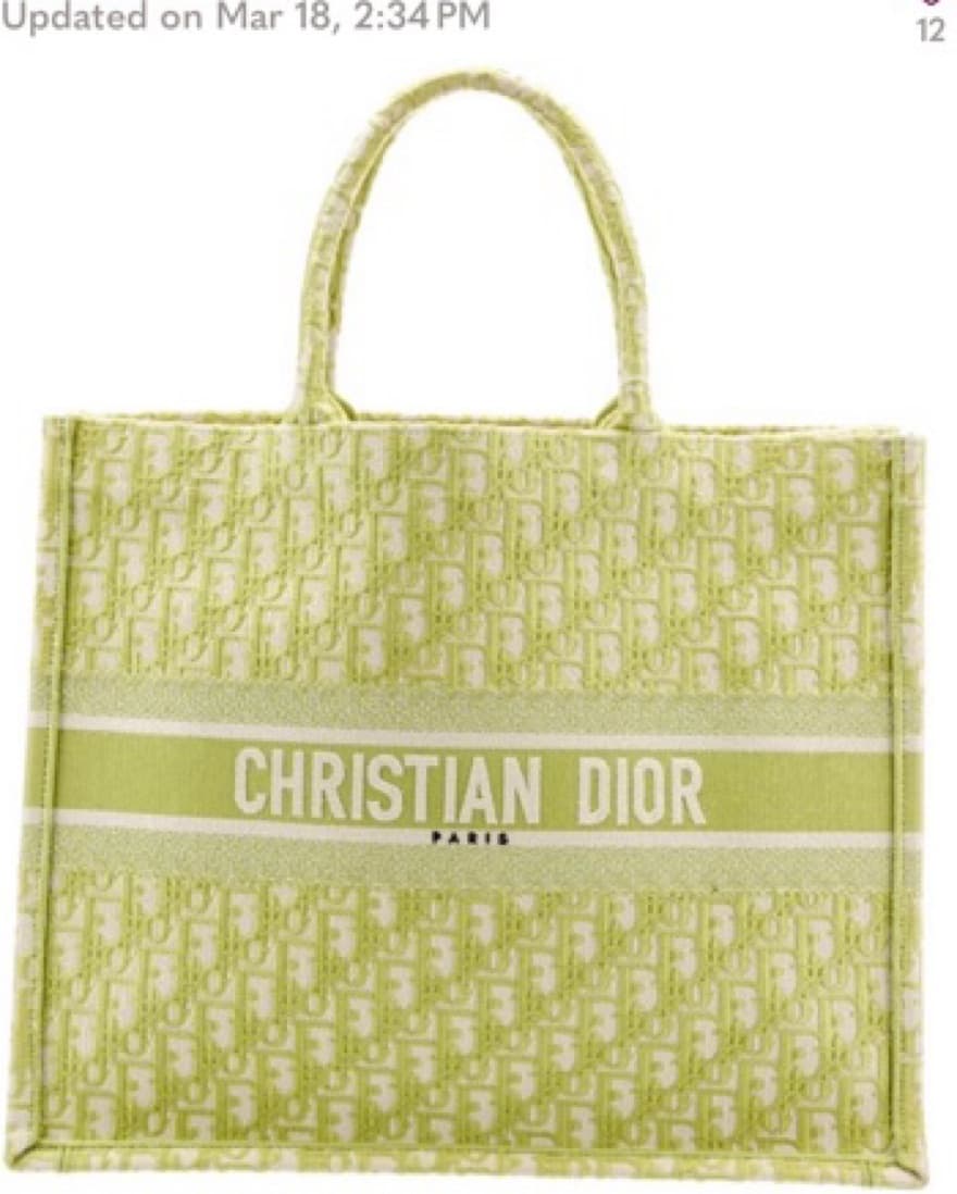 Christian Dior Book Tote - Image 1