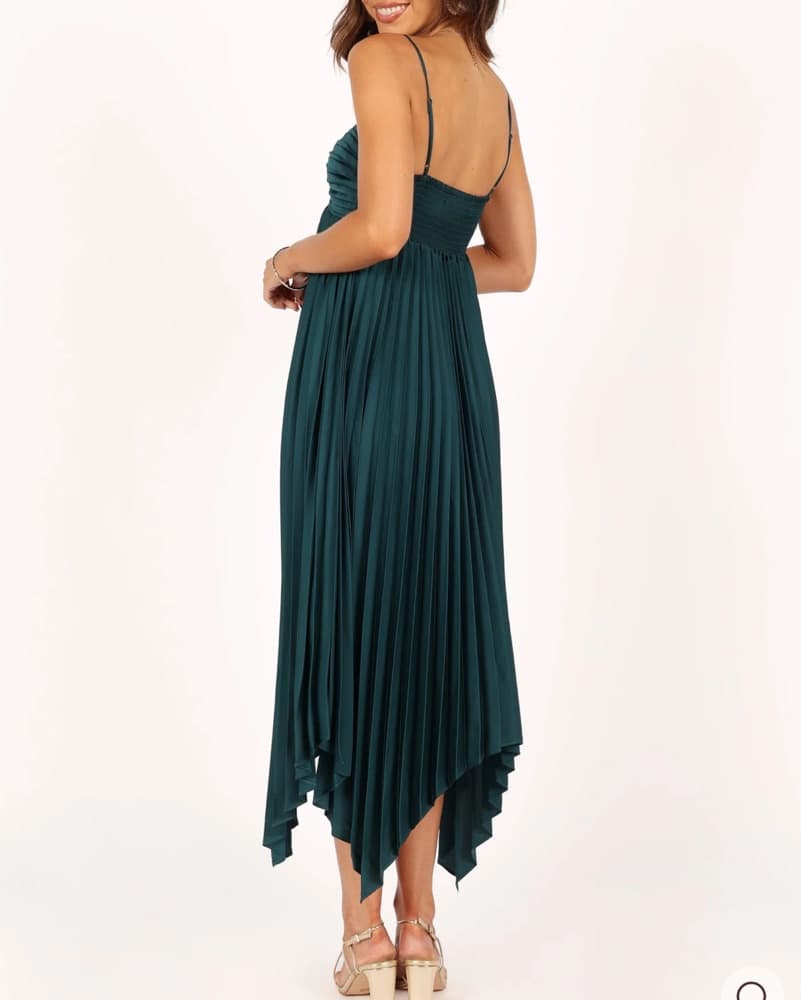 Petal & Pup Pleated Midi Dress - Image 2