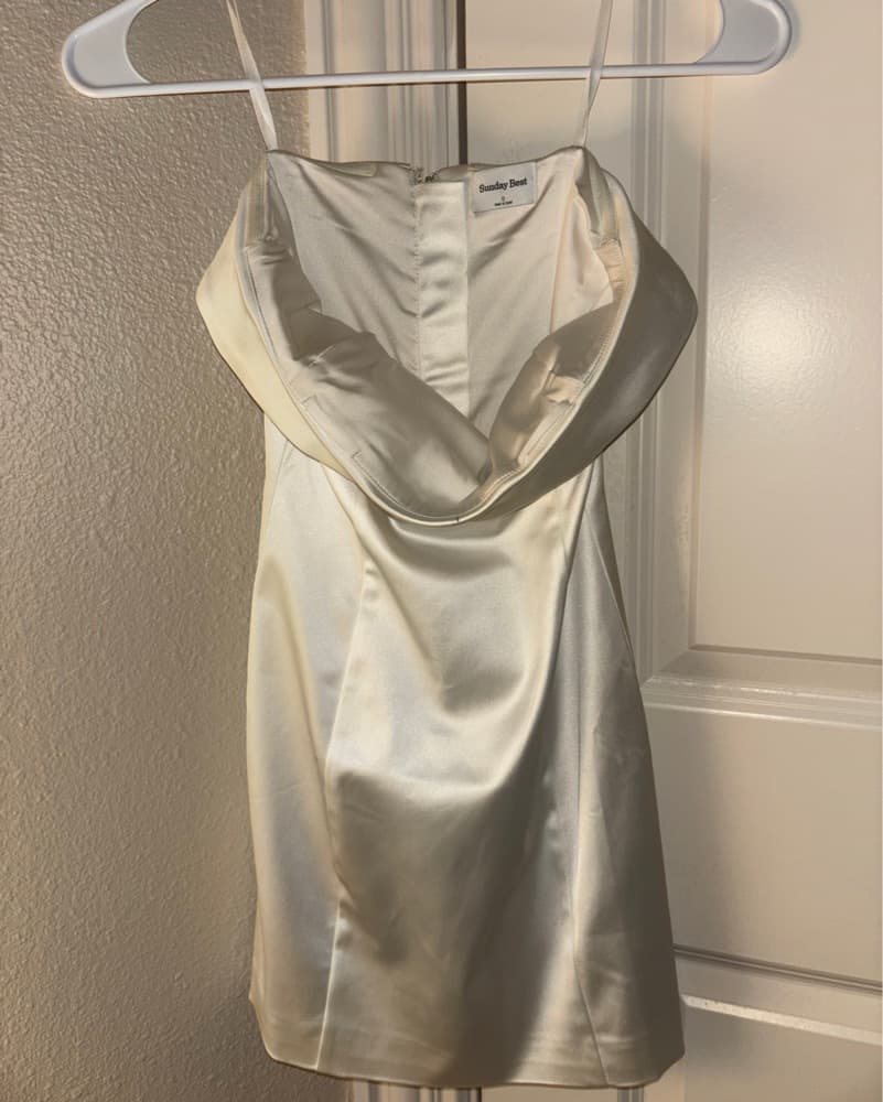 Aritizia Summer Best Satin Tube Dress  - Image 1