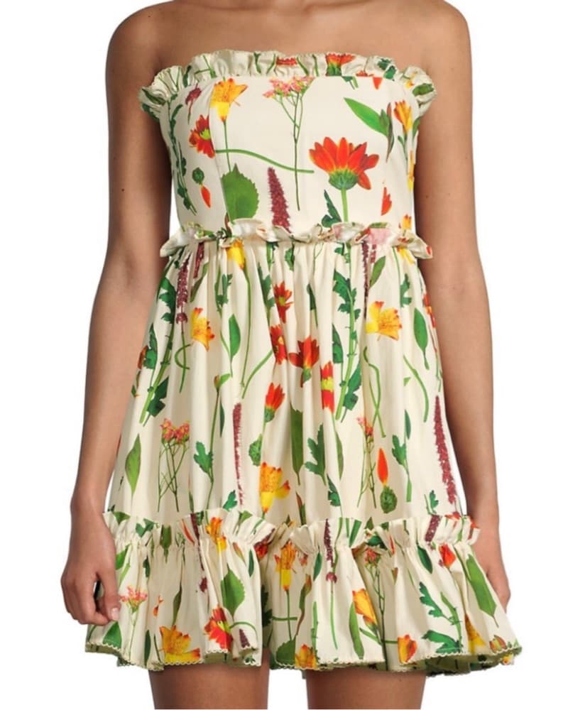 Rosa Primavera Ruffled Mini Dress  - Image 3