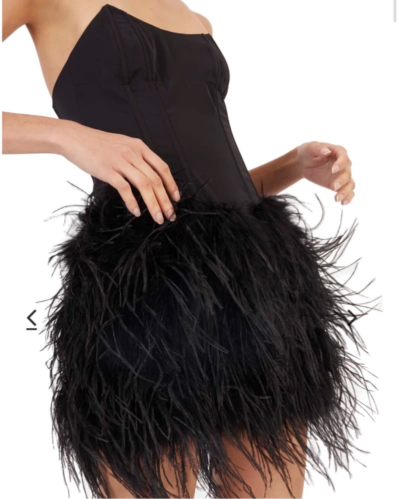 DE LA VALI Feather Mini Dress - Image 1