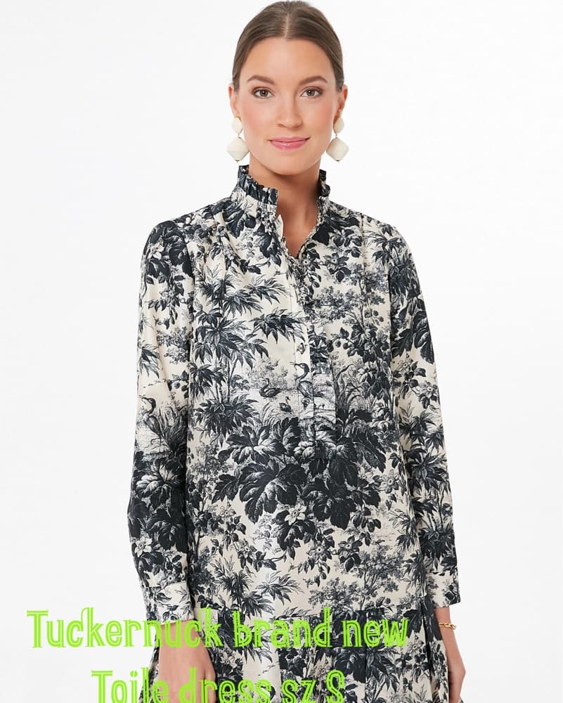 Tuckernuck Toile dress - Image 2