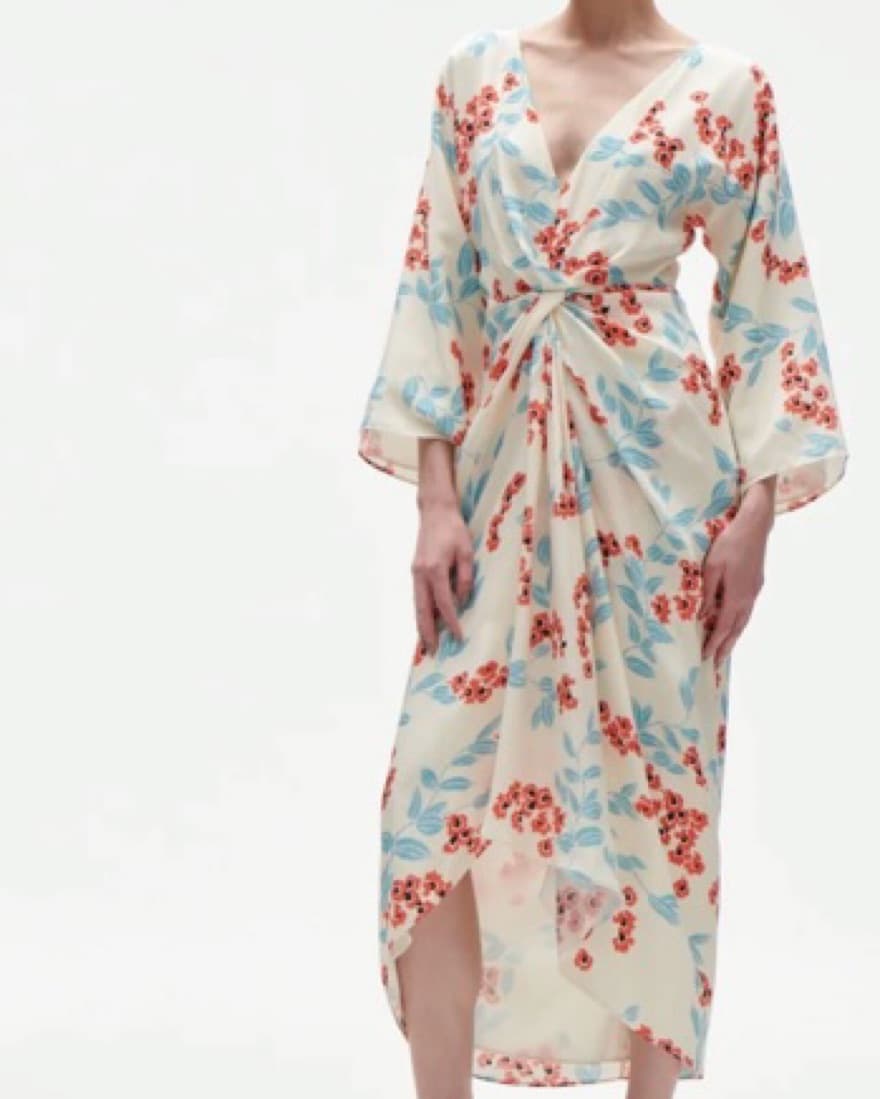Figue Dress - Image 2