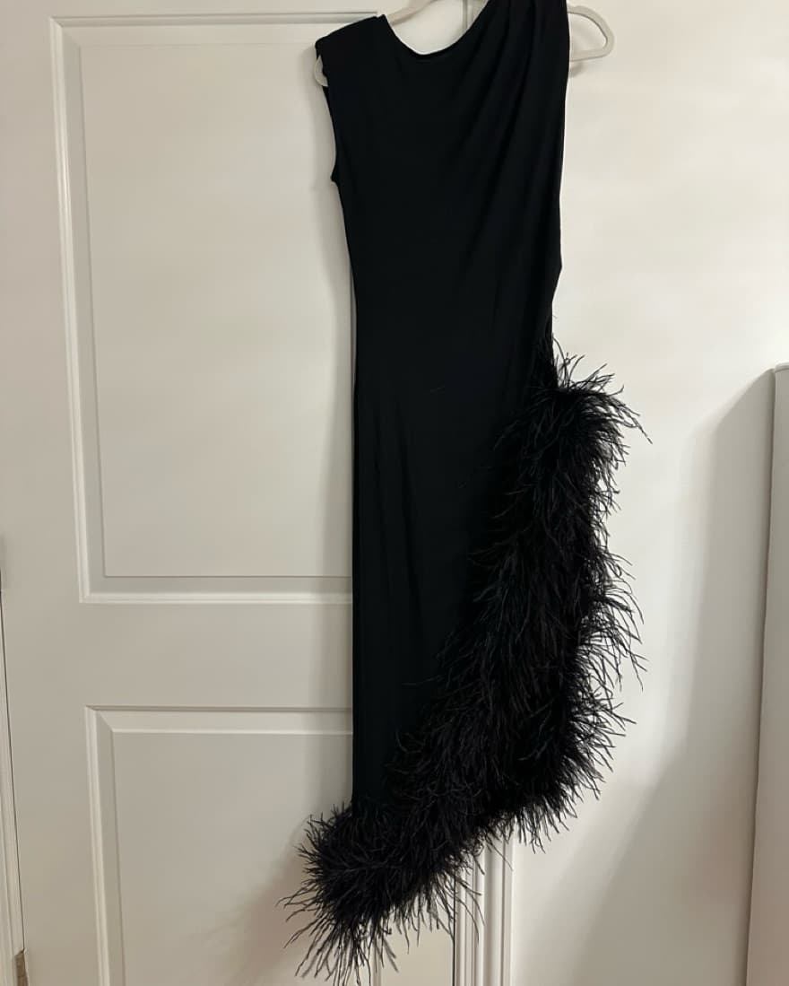 Dana Foley Feather Dress  - Image 3