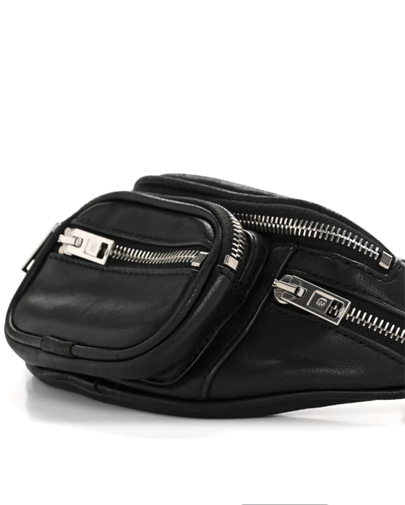 WANG Lambskin Attica Mini Belt Bag - Image 2