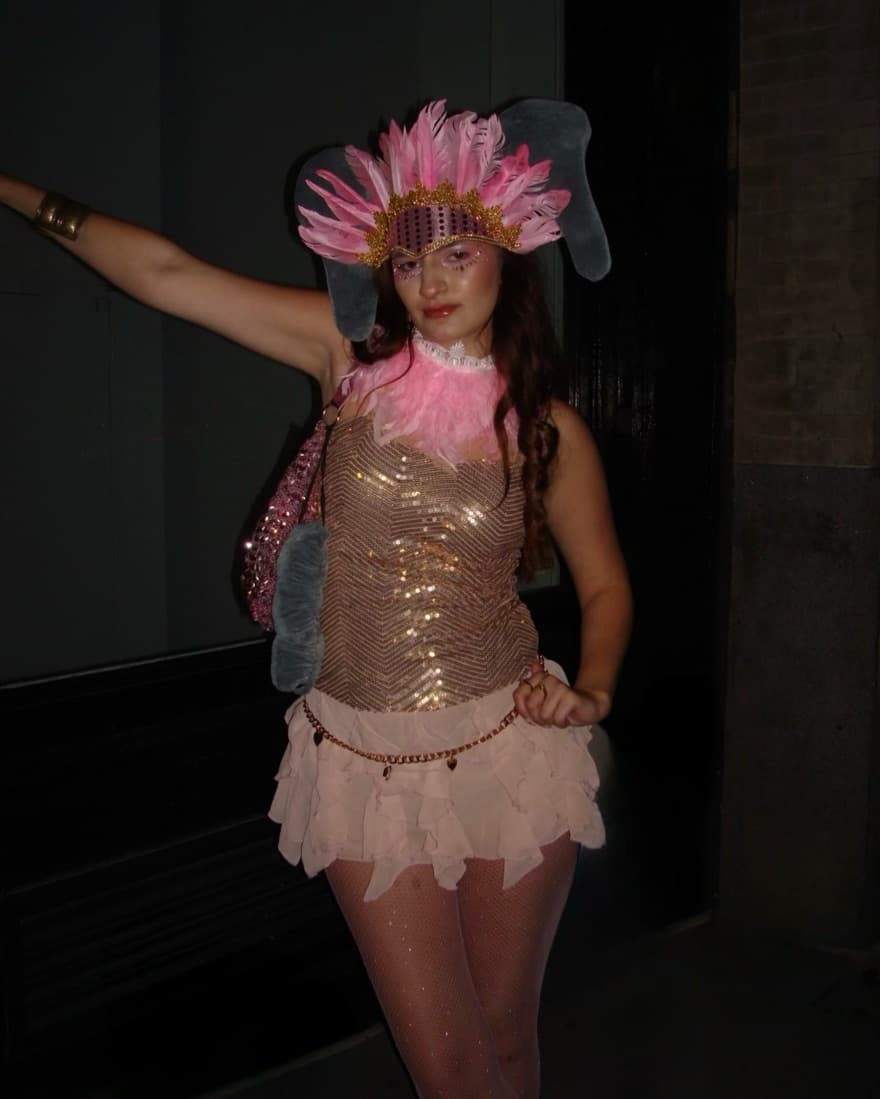 circus elephant costume - Image 1