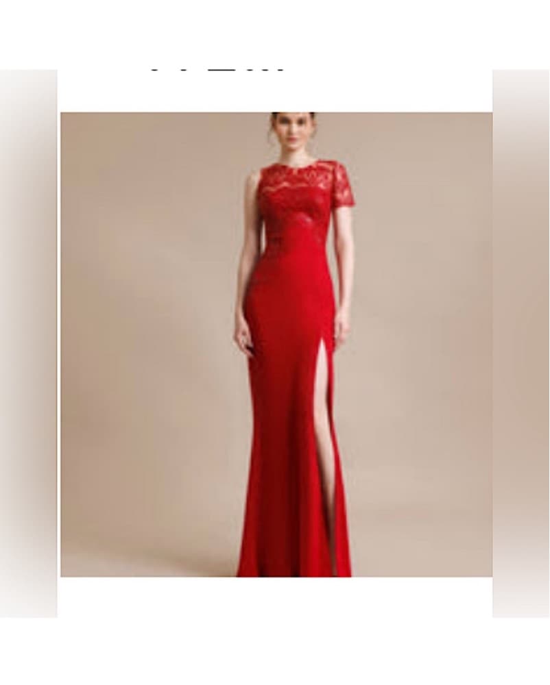 Gemy Maalouf Red Lace Gown - Image 1