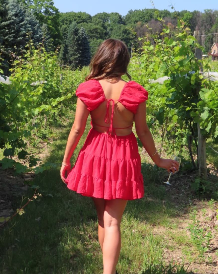 Red Mini Sundress - Image 3