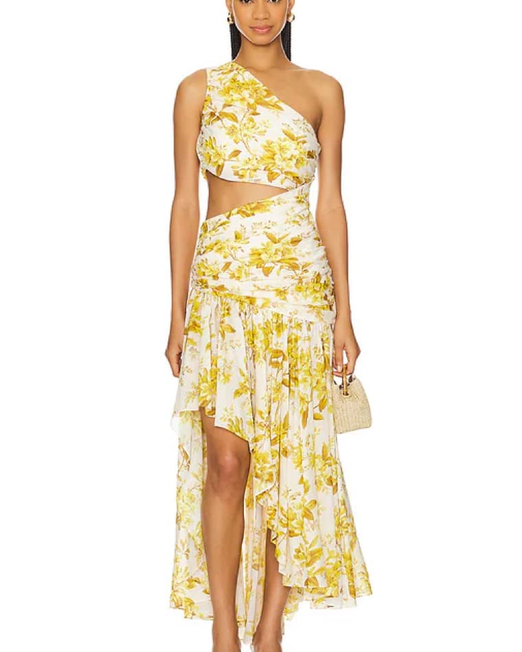 Zimmerman Floral Cutout Dress - Image 1