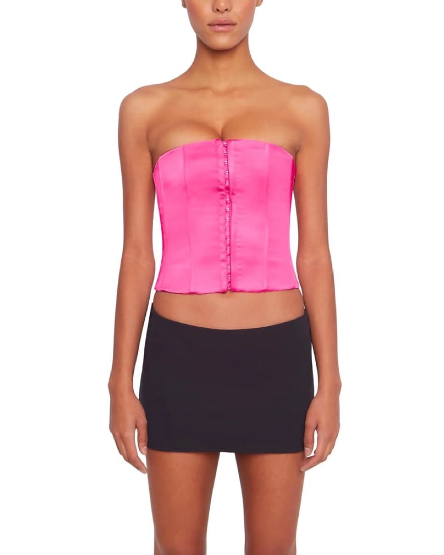 Danielle Guizio Pink Corset - Image 1