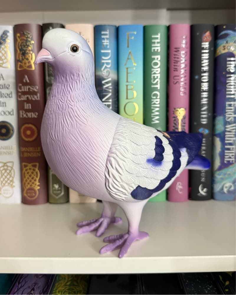 Pigeon Clutch  - Image 1