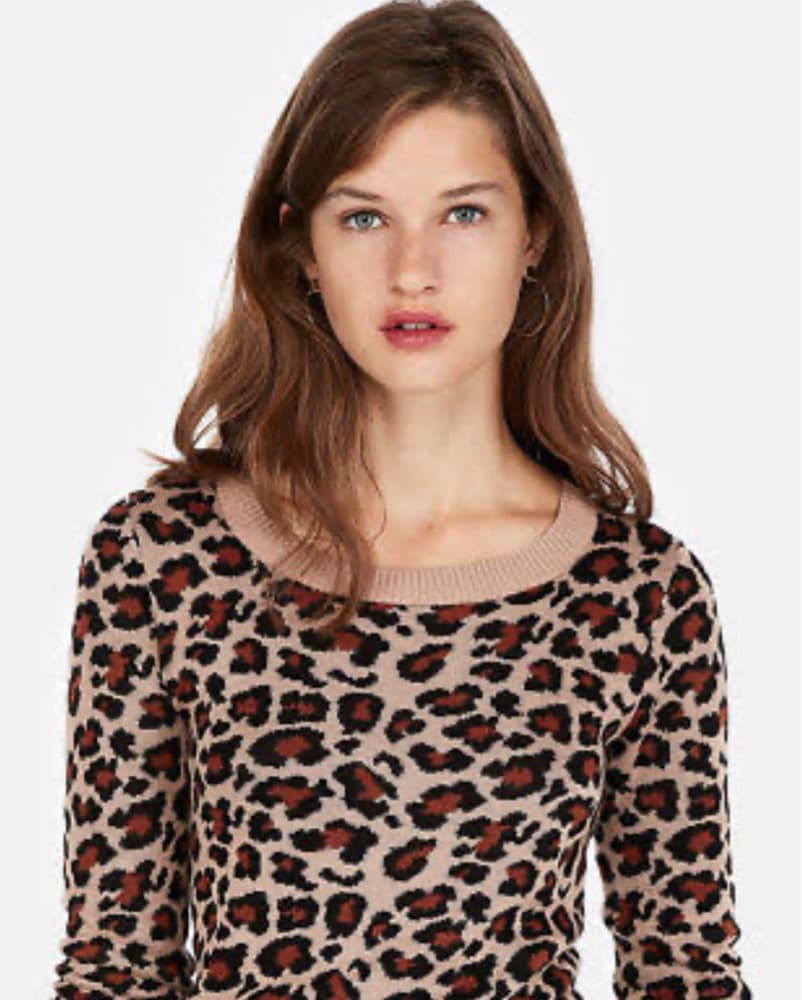 Chic Leopard Print Sweater - Image 1