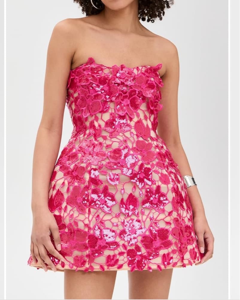 Retrofete Dress - Image 1