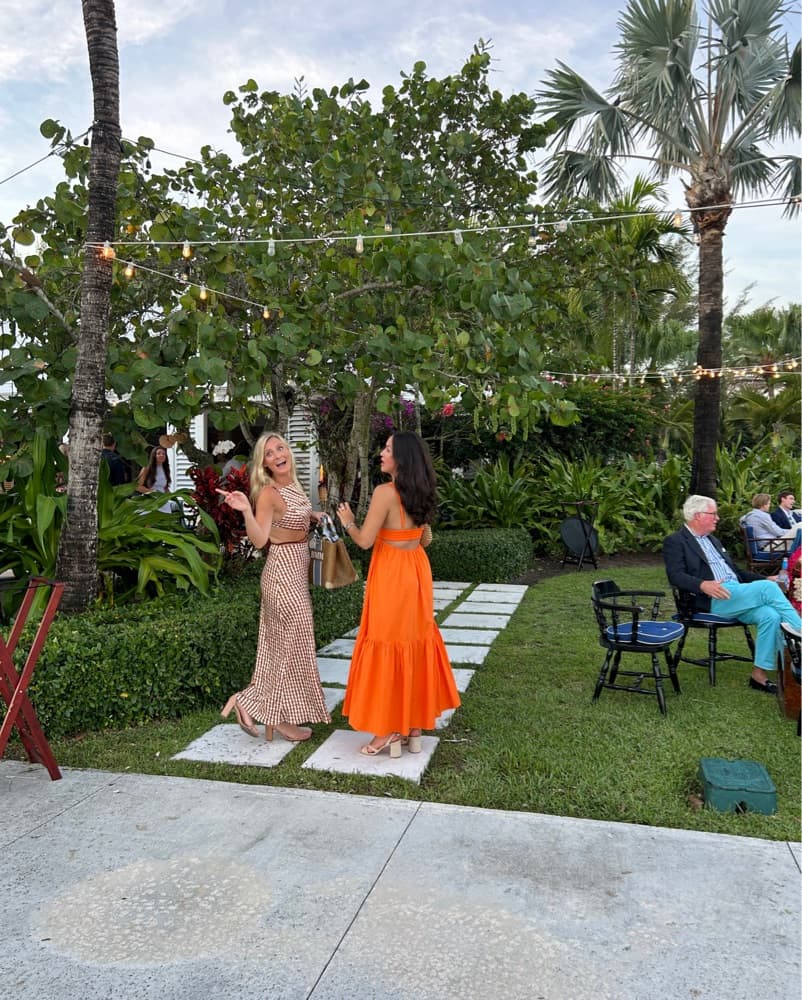 ALC Rhode Dress  - Image 3