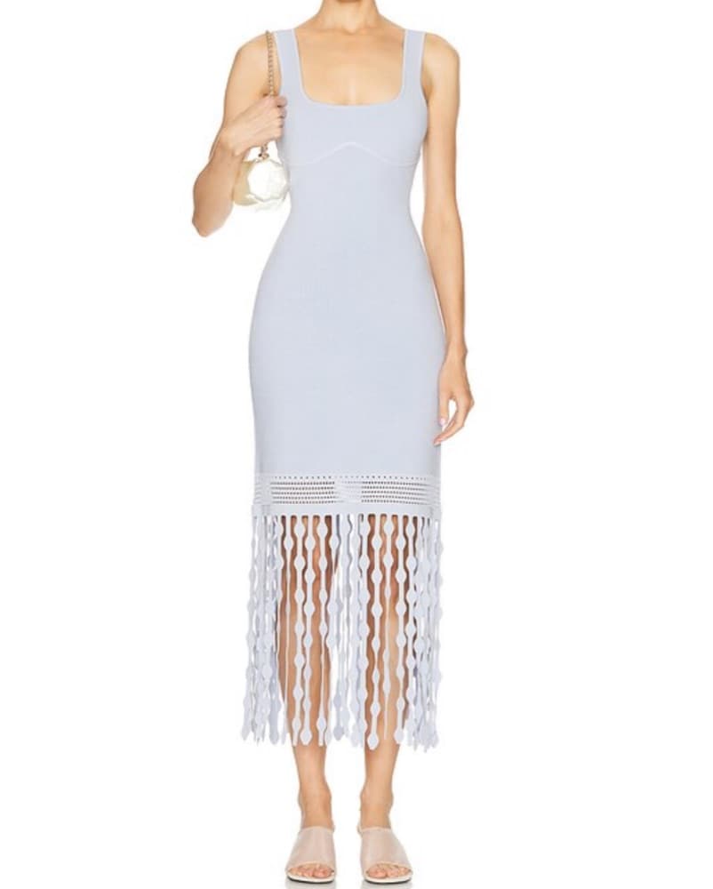 Simkhai Midi Fringe Tank Dress - Image 4
