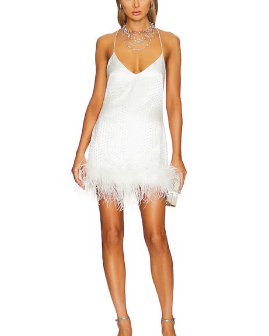 Retrofete Feather Dress - Image 2