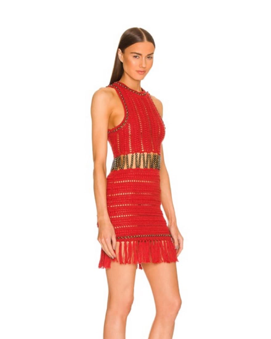 Croshet Dress By Revolve  - Image 2