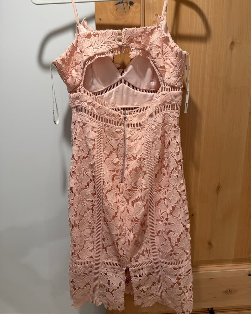 Bardot Botanica Lace Pink Dress - Image 5