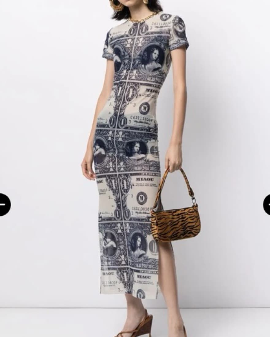 MIAOU MONEY PRINT DRESS - Image 3