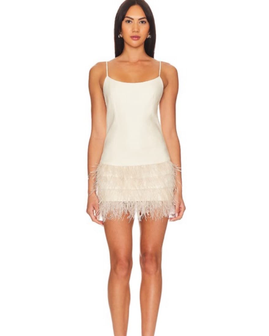 Feather Backless Mini Dress - Image 1