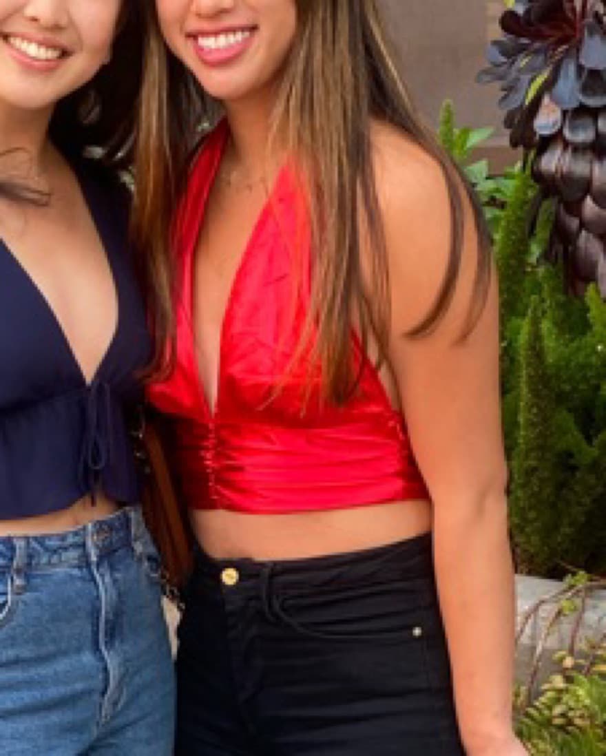 Vintage Red Silk Halter Backless Top - Image 3