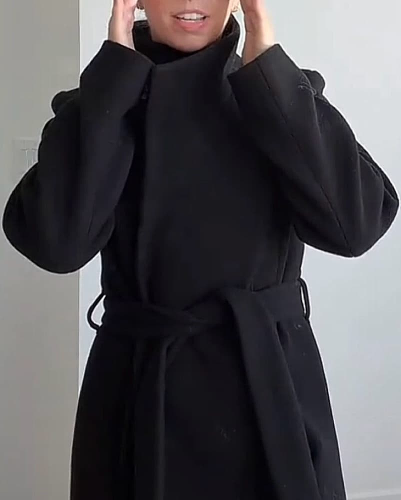 Aritzia Conner Coat - Image 4