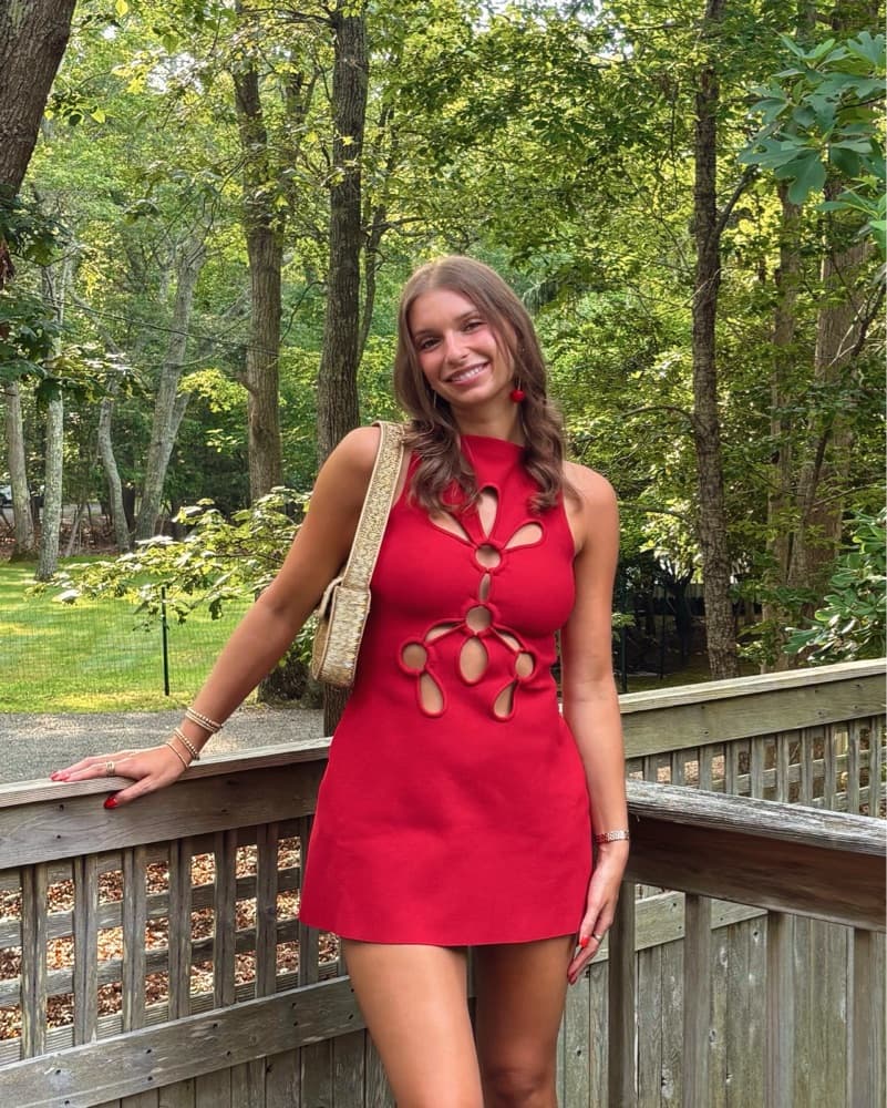 Cult Gaia Dress - Image 3