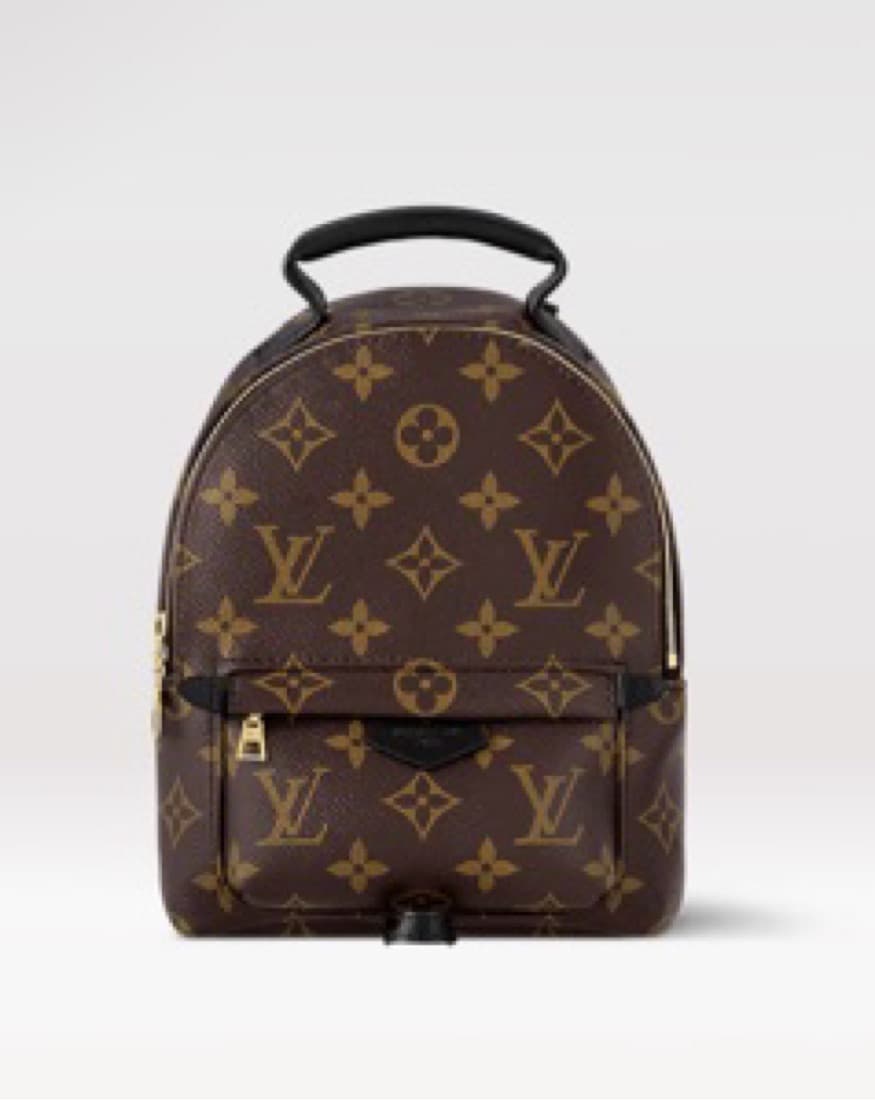 Louis Vuitton Palmsprings Backpack - Image 1