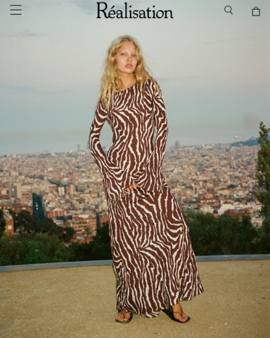 Realisation Par Gia Dress In Zebra  - Image 2