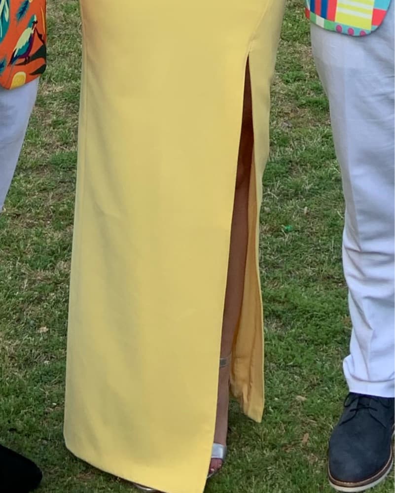 Likely Camden Gown - Image 3