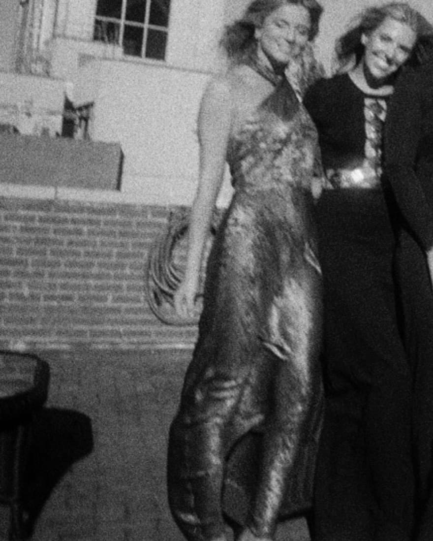 Veronica beard Alberta Dress - Image 2