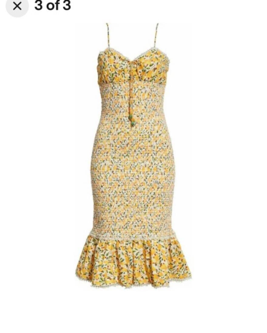 Farm Rio Smocked Midi Cashew Dress - Image 2