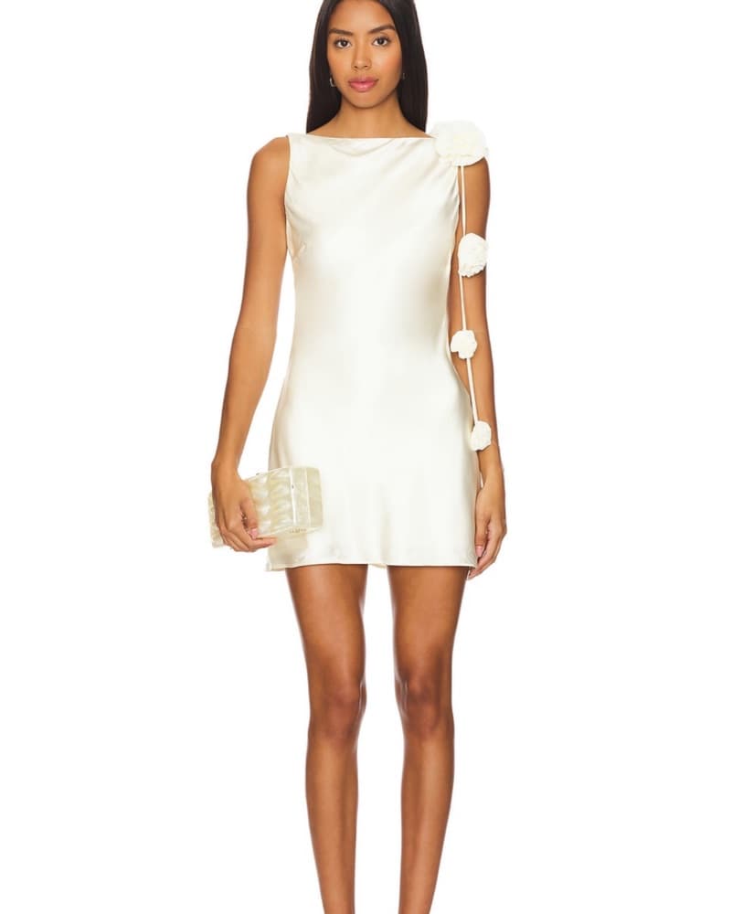 Lovers And Friends Mini Dress - Image 1