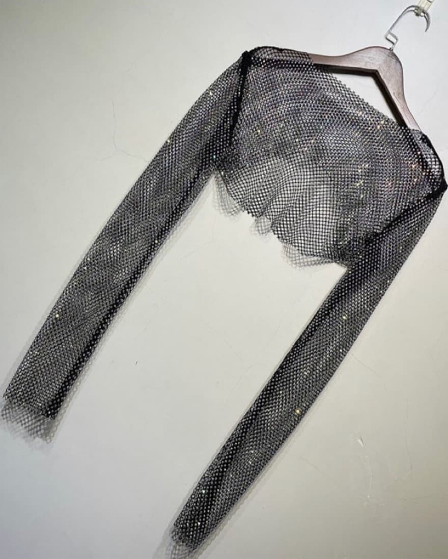 Rhinestone Long Sleeve Net Crop Top - Image 1