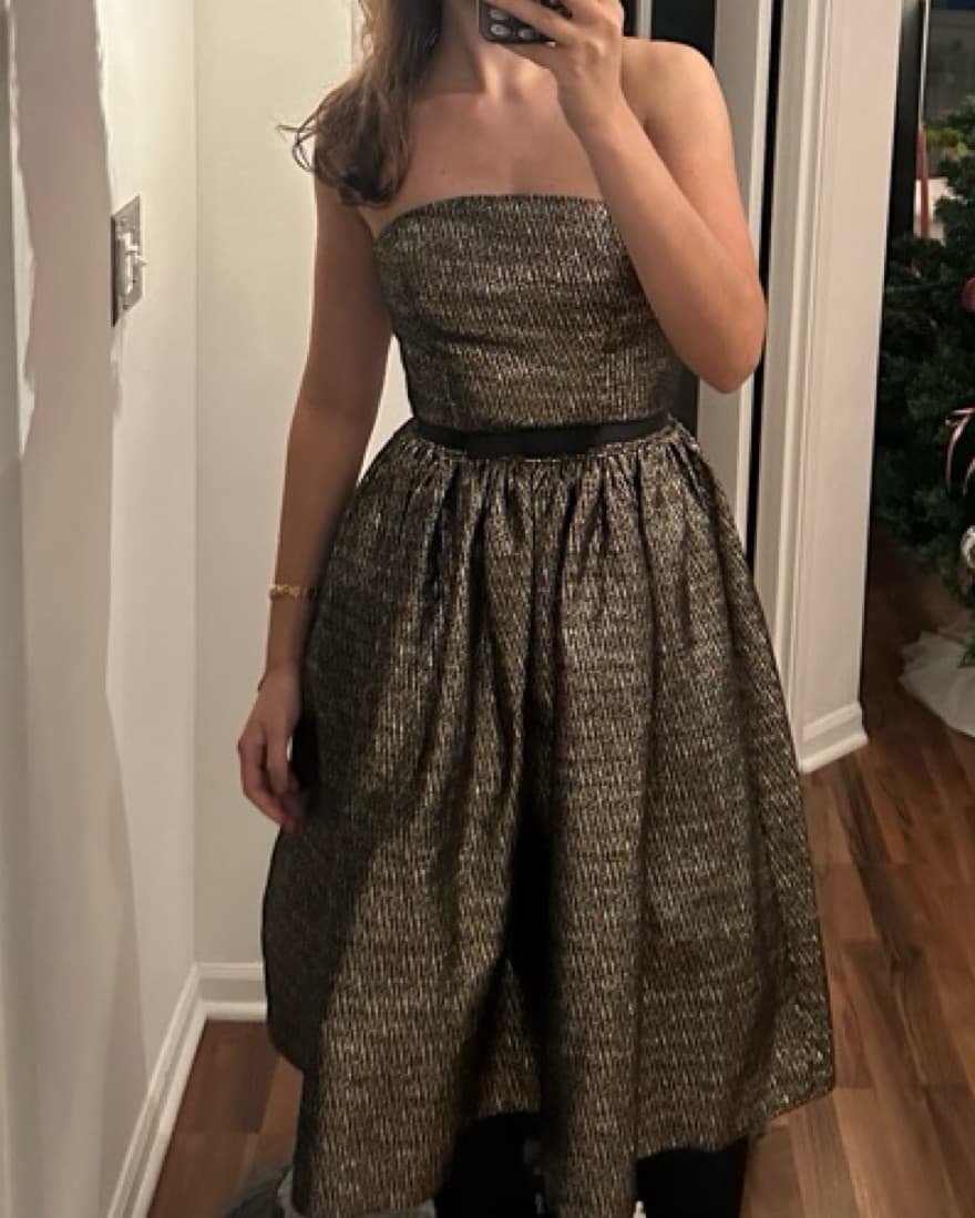 Milly Strapless Silver & Gold Dress - Image 3