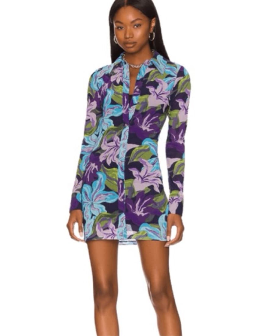 Song Of Style (Revolve) Mini Dress   - Image 1