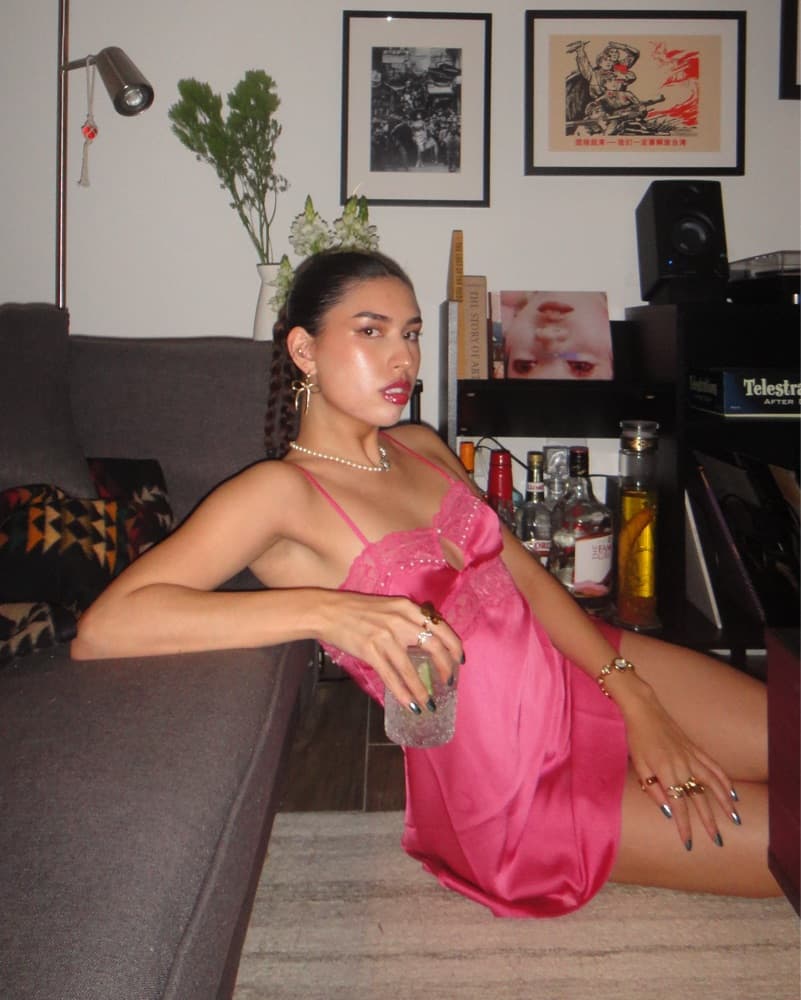 Pink Slip danielle guizio dress - Image 1